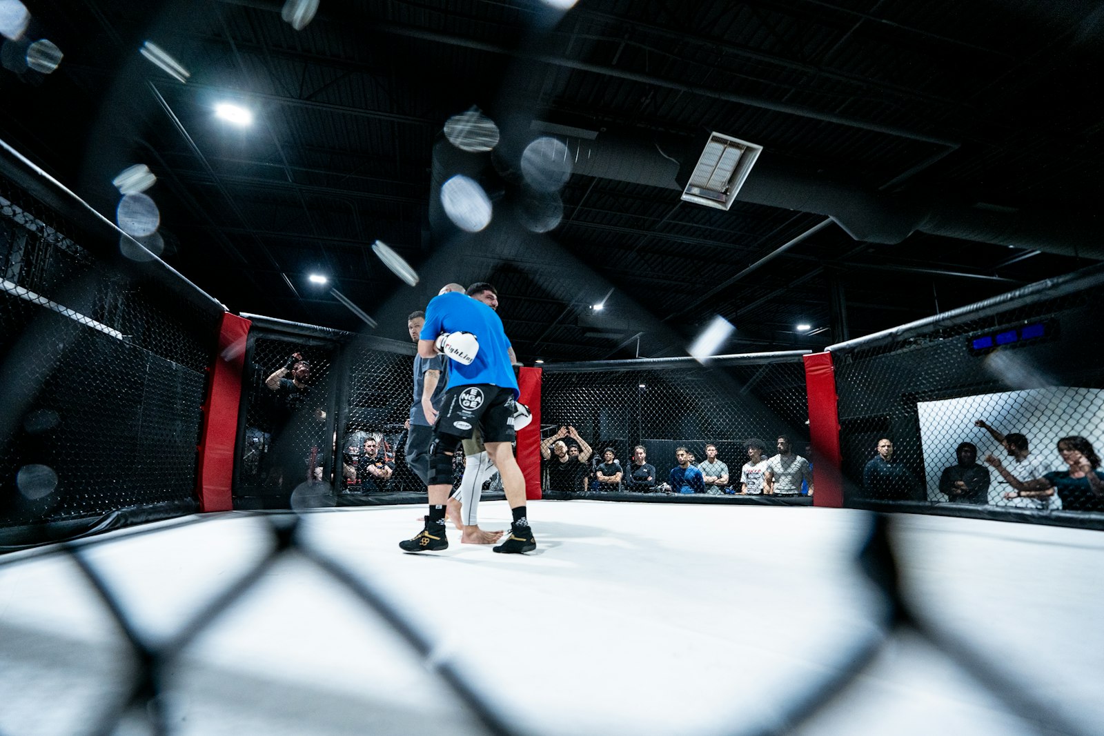 UFC vs PFL vs ONE Championship: How the Major MMA Promotions Differ
