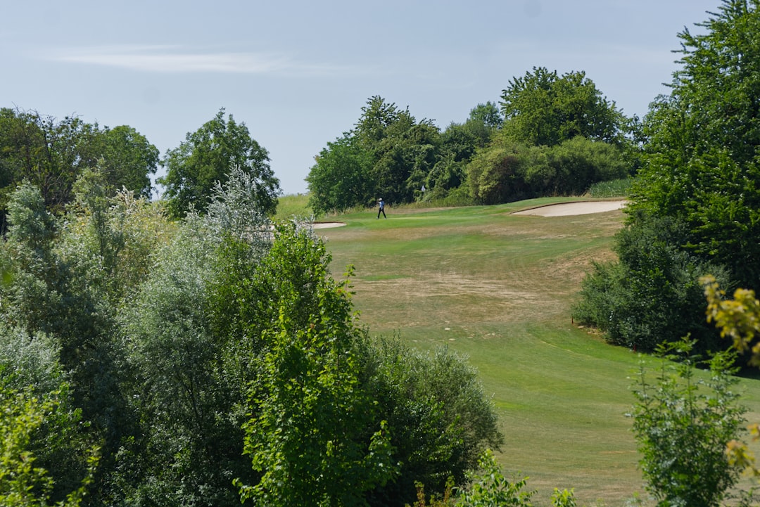 Golf Scoring Explained: Par, Birdie, Bogey, Eagle and More