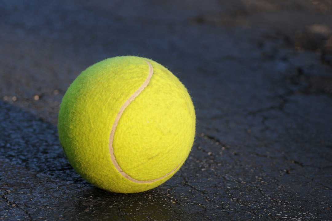 Australian Open vs French Open vs Wimbledon vs US Open: The Grand Slams Compared